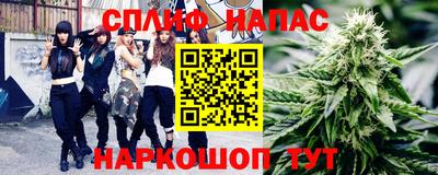 МДПВ Абинск