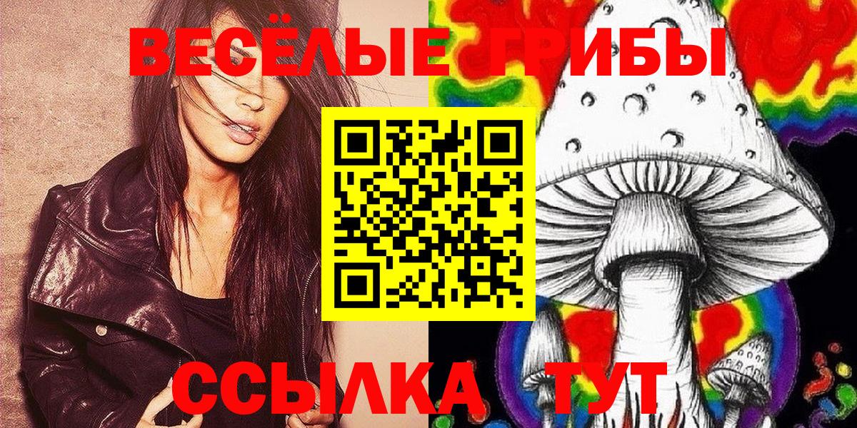 Псилоцибиновые грибы Psilocybe Россия