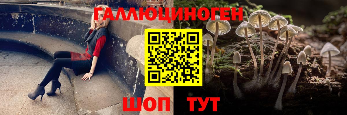 Россия  Псилоцибиновые грибы GOLDEN TEACHER  Вход с VPN 